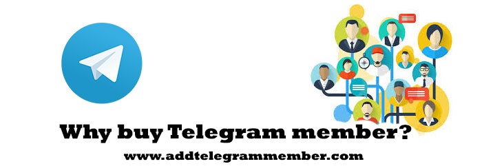 Why-buy-Telegram-member