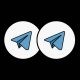 Two Telegram Accounts