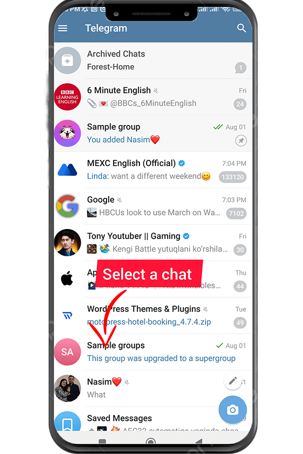 select a chat